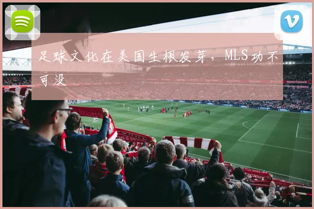 足球文化在美国生根发芽,MLS功不可没