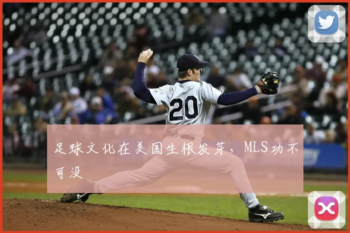 足球文化在美国生根发芽，MLS功不可没